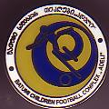 Badge FK Adeli Batumi